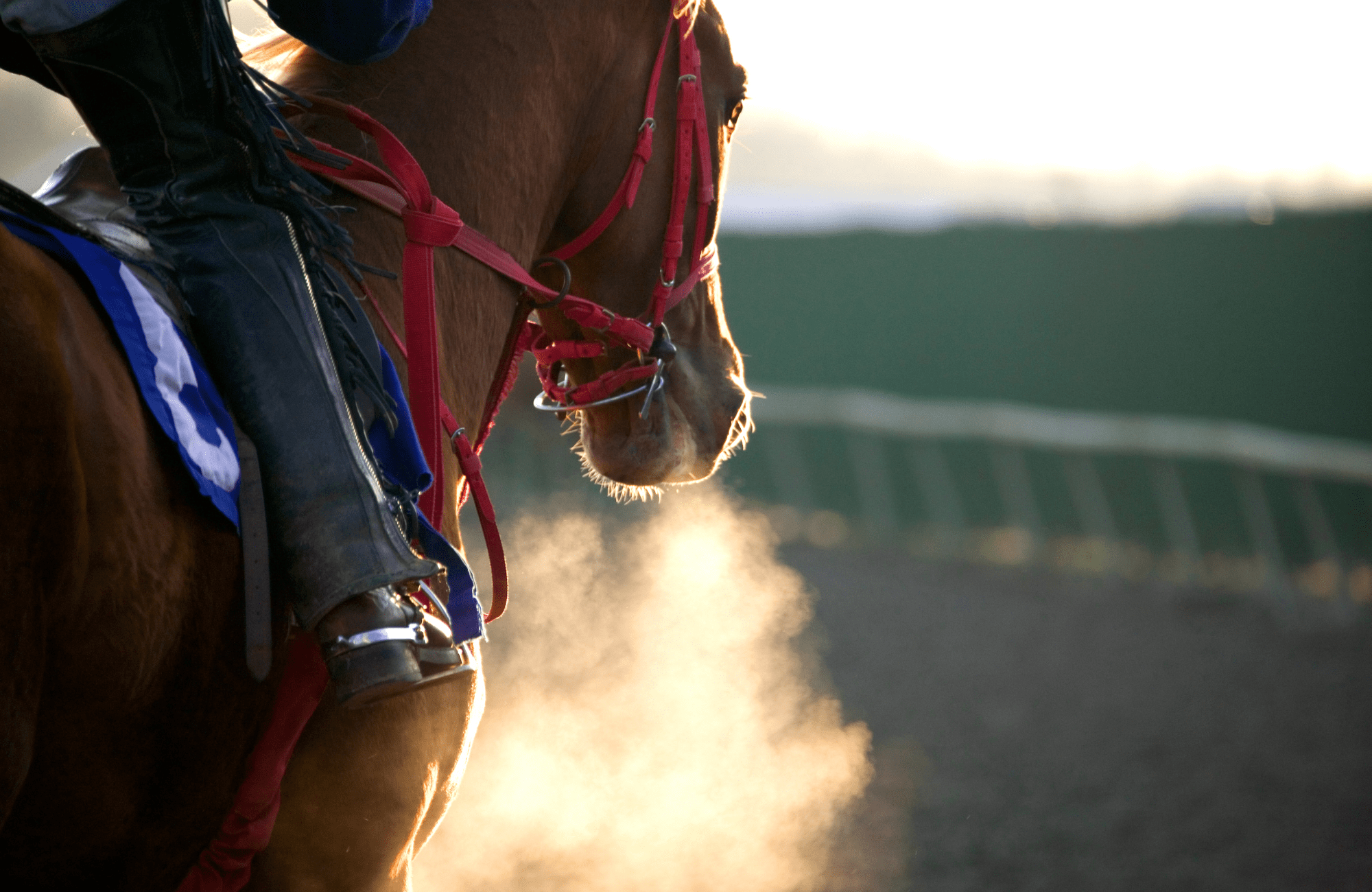 Horse Racing Travel Solutions